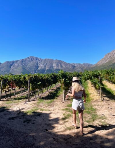 Cape Town Franschhoek