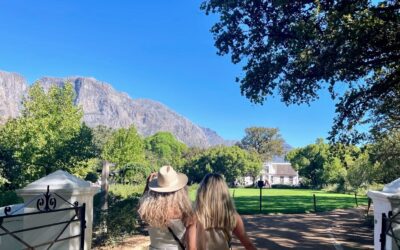 Wine tour vanaf Kaapstad naar Stellenbosch, Paarl & Franschhoek