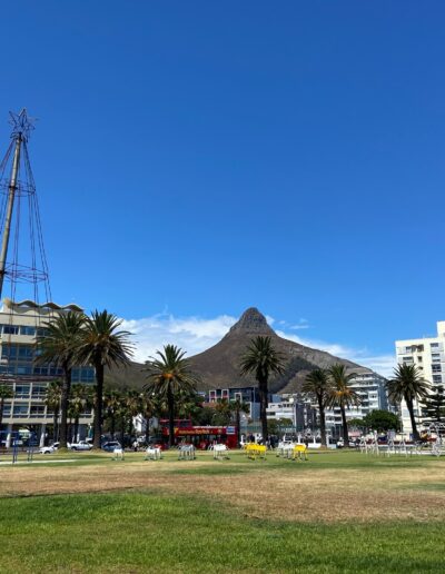 Cape Town lionshead