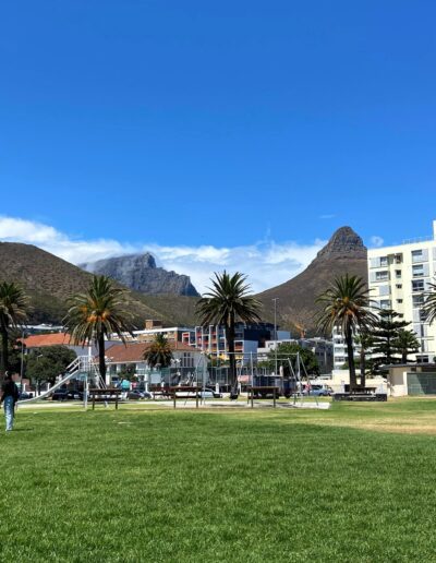 Cape Town lionshead