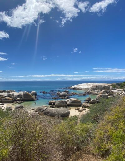 Cape Town boulders beach