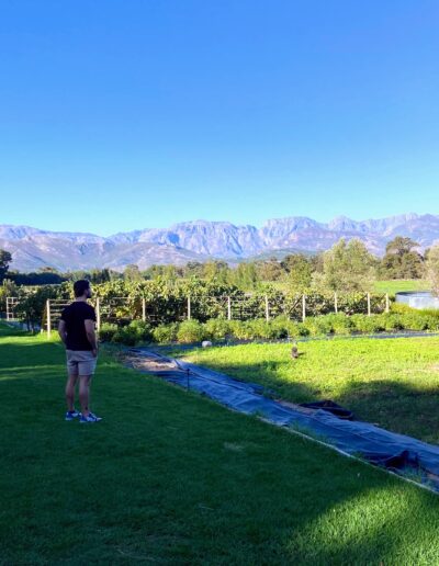 Cape Town Franschhoek