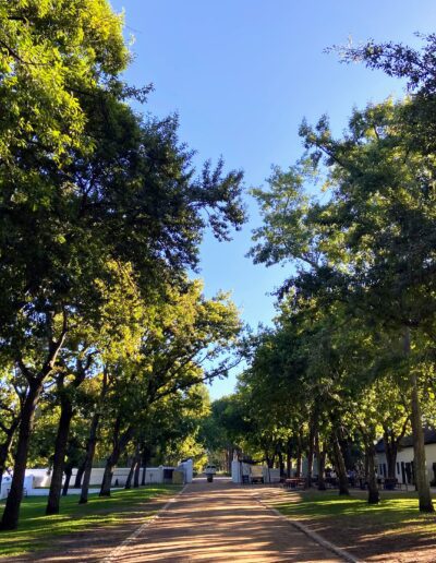 Cape Town Franschhoek