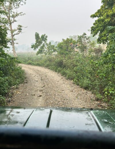 Chitwan national park