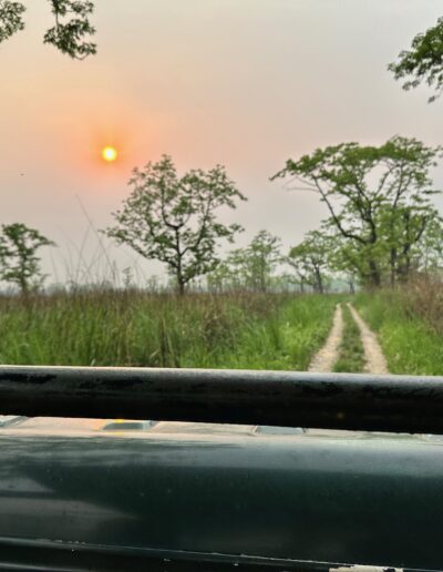 Chitwan national park view from car