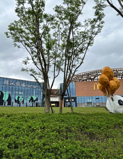 Chengdu panda park