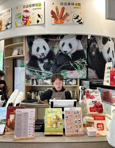 Chengdu panda store