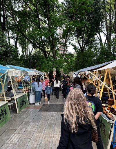 Chengdu people's park street market