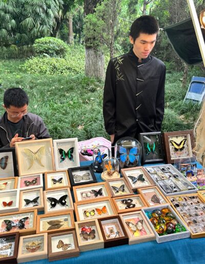 Chengdu people's park street market