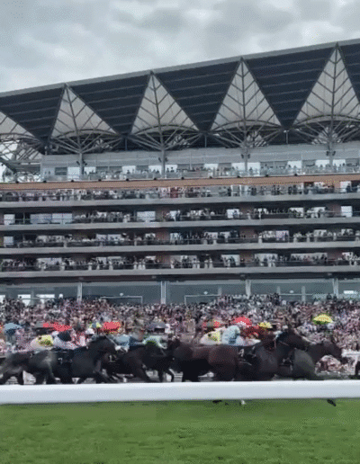 england horse racing royal ascot